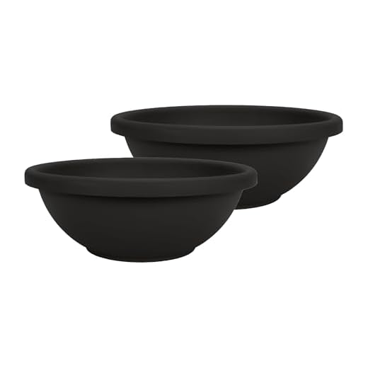 Stylish Shallow Planter for Versatile Use