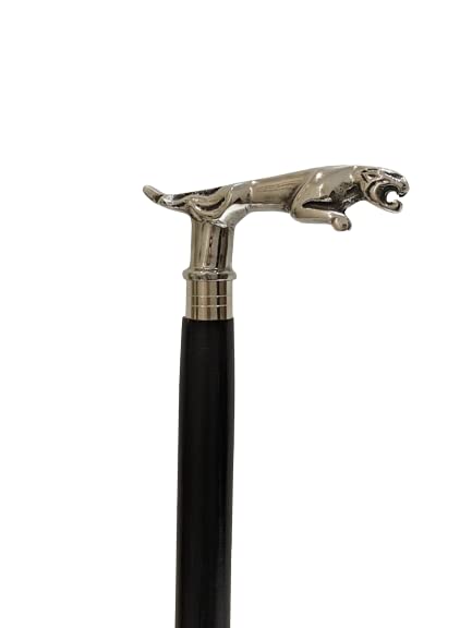 12 Bastoni Da Passeggio Con Portabastoni In Legno E Metallo, Anni '50 - Foto 10