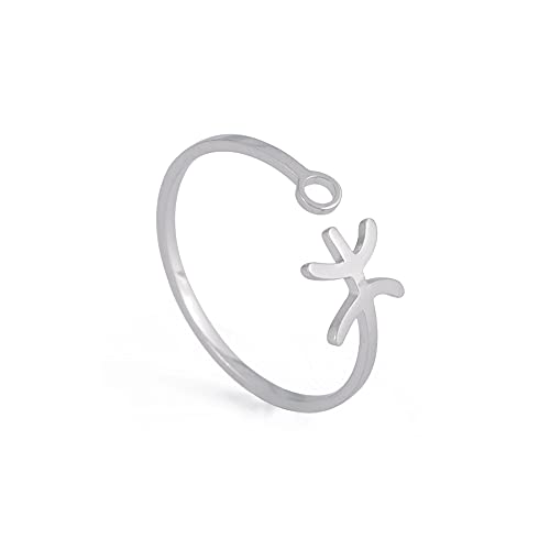 Dreamtimes Anillos del zodiaco de acero inoxidable para mujer 12 signos del zodiaco anillo abierto Aries León Virgo Gemelos Báscula Piscis Escorpión regalo de cumpleaños