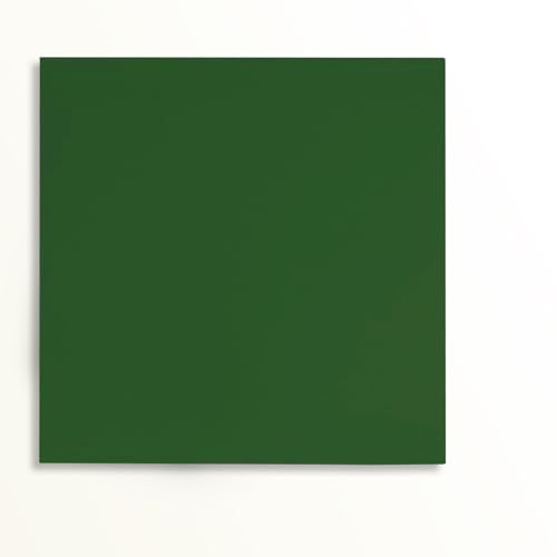 Image of 2 Pcs 12x12 Inch 1 /8 in Thickness Mughal Green Pastel Color Plexiglass Panel One Sided Glossy One Sided Frosted Plexiglass for DIY Items