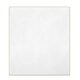 プロモショップ 色紙 白無地 日本製 (巨大色紙 544x484mm)