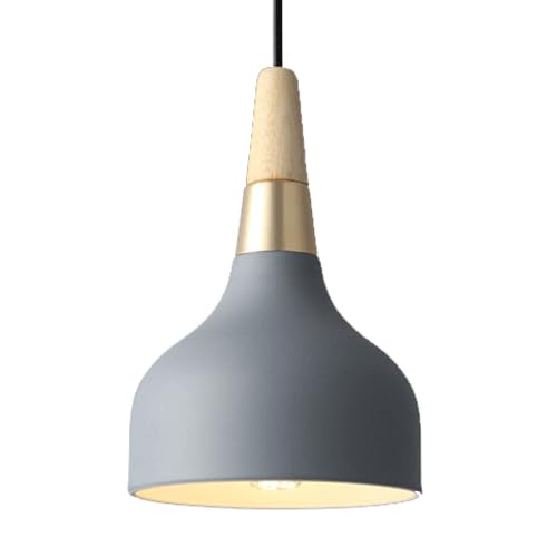 Lustre de luxe suspension simple en fer pour éclairer un porche sombre