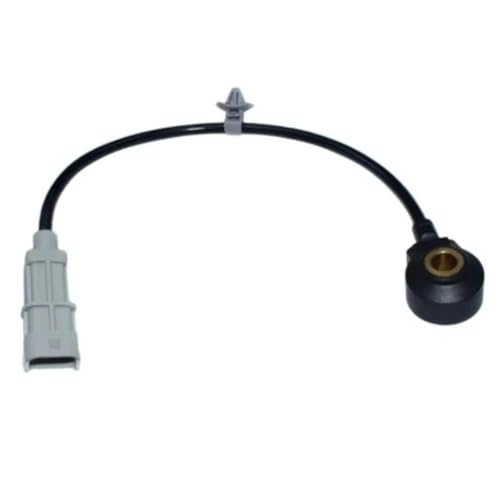 Capteur de cliquetis 39250-2B000 pour Langdong et Ix25