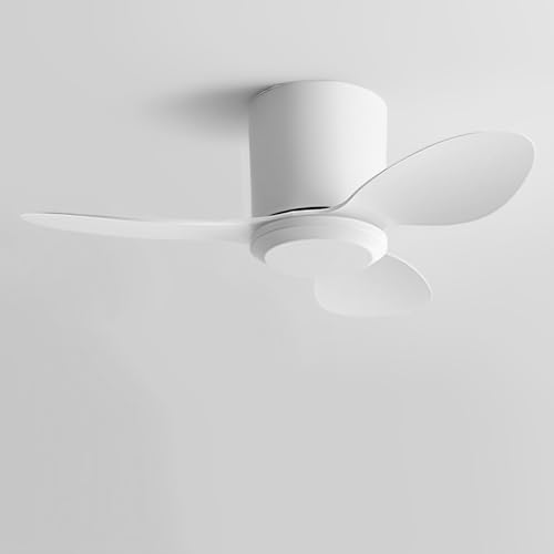 IBalody Ventilatore da soffitto senza luce Piccolo ventilatore da soffitto moderno con telecomando 6 velocità ventilatore da soffitto senza luci per ristorante camera da letto Patio (25 pollici)