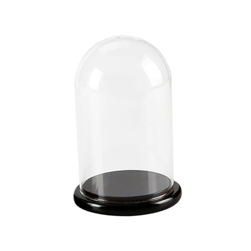 CIYODO Glass Bell Jar Cake Dome Cover Wood Base for Cake Decoration and Storage Multifunctional Glass Shade