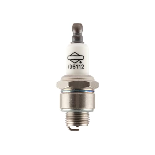 Briggs & Stratton 796112S Bougie RJ19LM
