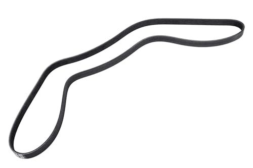 Courroie d'entraînement ACDelco 55569810 pour supprimer les bruits de moteur GM