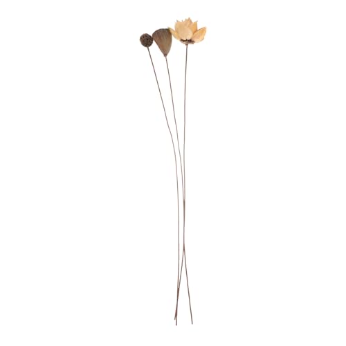 Arreglo Floral Centro de Mesa Flor de Loto Seco miniatura 1