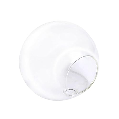 Alipis Pot de Fleurs Mural Verre Terrarium à Fleurs Décoratif Vase Soliflore Suspendu