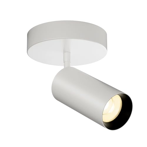 Image of Spotlight Indoor Ceiling LED Light,1 Light 20W Modern Spot Light Fixtures 4000K White Accent 300Adjustable Picture Painting For Living Room Bedroom Hallway Gallery Flush Mount Directional Lighting