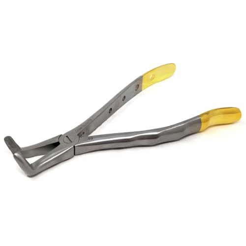 IMEDS Dental Extracting Forceps #45 with Serrated Curved Beaks Lower Molar Tooth Extraction German Stainless Steel Tools Comes in Gold Handle