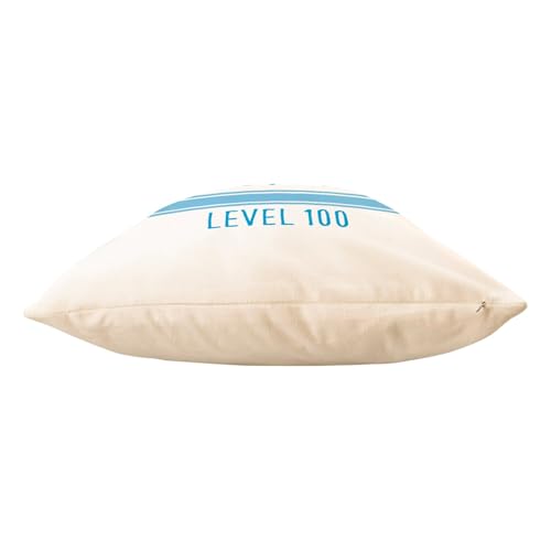 Coussin en velours blanc Mignon Level 100 Bébé Irresistible de dimensions 40x40 cm avec housse incluse