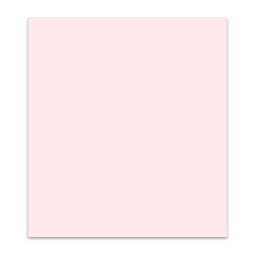 25 cartulinas de alta calidad de 240 grs./m² color rosa pastel en tamaño LITE (19,5 x 21,5 cm.). | Especial scrapbooking, proyectos artísticos, manualidades y DIY Cover
