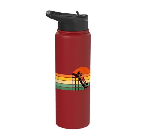 Retro Roller Coaster Ride At The Theme Park Matching Family Stainless Steel Insulated Water Bottle