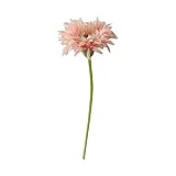 Generic Artificial Daisy Flowers Single Silk Faux Daisy Floral with Stem Realistic for Party Home Kitchen Patio Garden Vase Filler Centerpiece Table Arrangement Wedding Anniversary Decoration, Pink