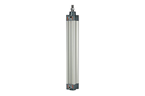 RIEGLER 106219-5.DMD.63080 Normzylinder, doppeltwirkend, Magnet, Kolben-Ø 63, Hub 80, G 3/8, 1Stk