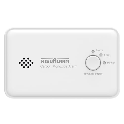 Carbon Monoxide Detector 10 Years Battery Carbon Monoxide Alarm CO Alarm with Test/Silence Button Carbon-Monoxide-Detector Comforms to EN 50291 Standard