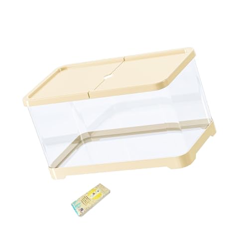 Phantasmia nX^[P[W ʋC݌v ^J ϏՌf MTCY F p (MƃCG[)