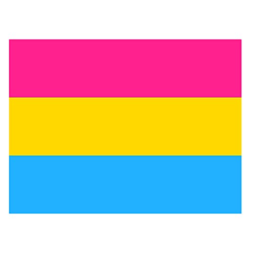 Meindin Pan-Flagge, Pan Pide Flag - Helle Farben Anti-Fading Pansexual Flag Outdoor, Doppelt genähte Leuchtend rote, gelbe, Blaue Farben, LGBT-Flaggen-Regenbogen-Flaggen-Serie