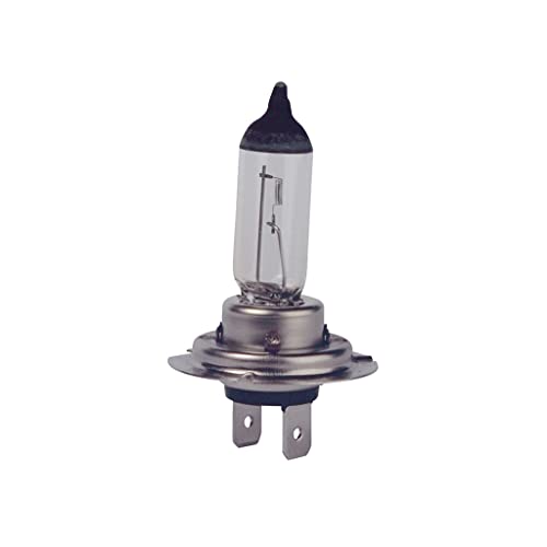 OROK - OROK - Ampoule H7 iode 12V, Ampoule type H7 PX26D 100W - Ampoule H7 12V krypton - Ampoule blanche - Non homologué pour tous véhicules, réservée aux véhicules agricoles