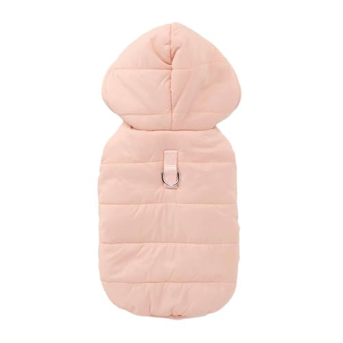 JCY(CAINZ) 킽p[J[ sN SSTCY ybg(̕)