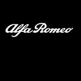 ▶【Material】Die dekorativen Auto-Logo-Aufkleber bestehen aus Materialien höchster Qualität, um Wasser- und Wetterbeständigkeit für den Einsatz in allen Umgebungen zu gewährleisten, und die starke 3M-Kleberückseite sorgt dafür, dass Ihr Logo viele Jahre lang haftet.