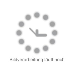 Almgourmet - Südtiroler Kräuterschinken - 2 Stück je 350g - 6 Monate...