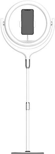 Selfie Ring Light with Stand, Dimmable Scrivania Trucco ANELLO LUCE PER TIKTOK/YouTube/Fotografia Vlogging/Vlogging/Live Streaming, LED Ring Light Compatibile con iPhone Android Laptop