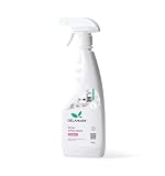 DELAMARK Spray do czyszczenia kuchni, uniwersalny środek czyszczący, silny odtłuszczacz, usuwa tłuszcz i przypalone zabrudzenia, bez agresywnych chemikaliów, Kwiatowy rozkwit, 500 ml