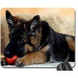 Preisvergleich Produktbild The killer