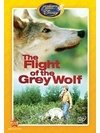 Flight of the Grey Wolf B0050PZ5UA Book Cover