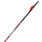 Black Eagle Carnivore Fletched Arrows - .001' 6 Pack - 250