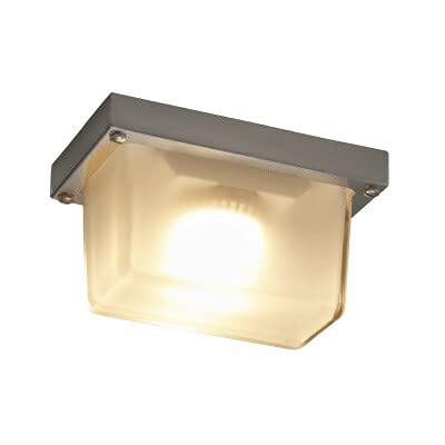 NR ~[pϔMh^Ɩ t[hCg HOOD LIGHT LEDNvgv100W dF(2700K) Ή tXg^Cv HLD-100F