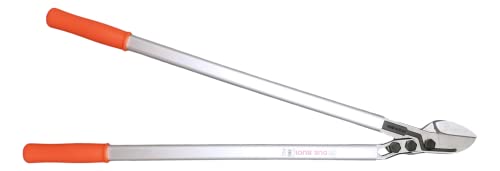 DUE BUOI KIT OF PRUNING SAW RS210/30 & LOPPER 170/80