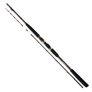 Amazon | ダイワ(DAIWA) 船竿 14極鋭ヤリイカ AGS 167 TUNE 釣り竿
