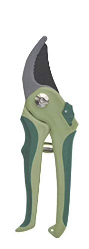 Tec Hit 891047 - Tijeras de podar (20 cm), color verde