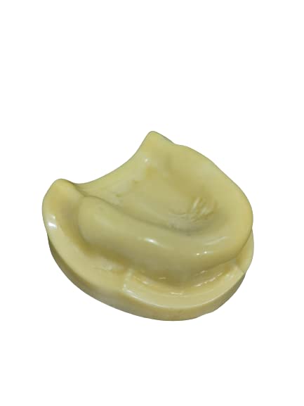 NMD NEXUS MEDODENT Dental Implant Practice Mandible(Upper)(Pack Of 1Pc) (B0BMQ1CXS3) Amazon Price History, Amazon Price Tracker