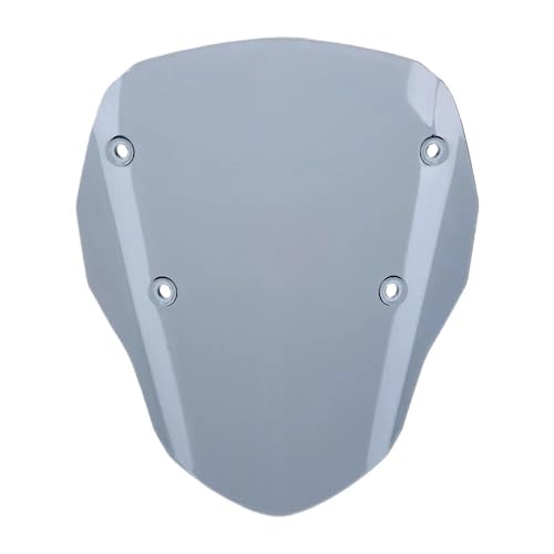 Pare-brise pour R 1300 GS 2023-2024 déflecteur de vent moto carénage noir