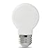 BULB LED G16.5 5.5W 2PK