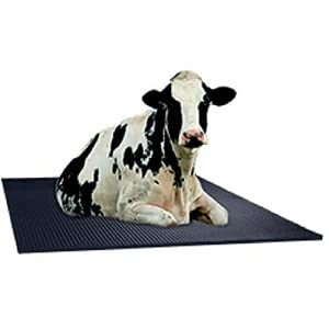 Anaya Cow Mat, Bpa Free, Easy Clean, Dishwasher Safe, Waterproof, Raised Edges, Mat for Cows, Buffalo, Bull, Rubber- (Black-Standard)