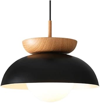 Danish Design Metal Pendant Light,E26 Screw Modern Island Lights,Simplicity Restaurant Ceiling Lighting Fixture,Wabi-sabi Style Homestay Hanging Lights,for Kitchen Island,bar,Restaurant,Livi