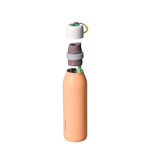 Image of Owala FreeSip Twist Stainless Steel Water Bottle 18 oz Peachy Keen