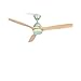 CREATE / WINDLIGHT CUP DC / Ventilador techo motor DC verde aspas madera natural / Silencioso, 2 alturas, temporizador