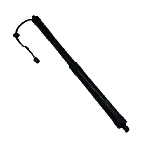 Jambe force hydraulique 81771B8100 pour hayon électrique de Grand Santa Fe droit