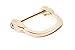 Bobeey 4pcs 3cm Wide Light Gold U Shape Horseshoe D-Rings,Screw In Shackle D Ring For Buckle,Belt Clasps,DIY Leather Craft Accessories,Purse Findings BBC14 (Light Gold) ...