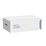 Oasesenergy – Oasesenergy LiFePO4 48V 100Ah Lithium Batterie, Eingebautes 