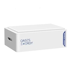 Oasesenergy – Oasesenergy LiFePO4 48V 100Ah Lithium Batterie, Eingebautes 