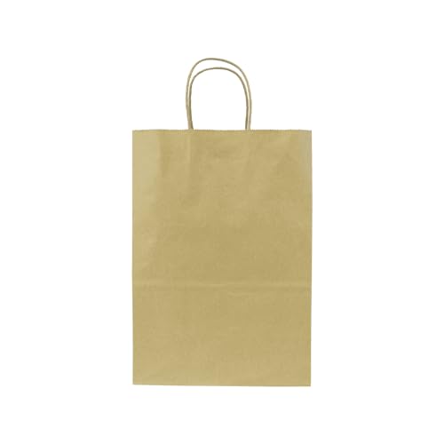 Karat FP-SB110 (Medium) Paper Shopping Bags - Kraft (Case of 250)
