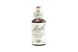 BACH FLORES DE BACH CLEMATIS 20ml - Frasco de cristal de 20 ml con gotero