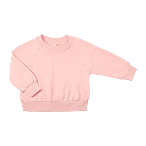 LNICEAR Toddler Boys Girls Clothes Set Kids Long Sleeve Crewneck Loose Sweatshirt Athletic Shorts Set Tracksuits Outfits2